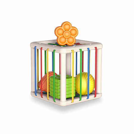 Jeu de tri Montessori (6-24 mois)