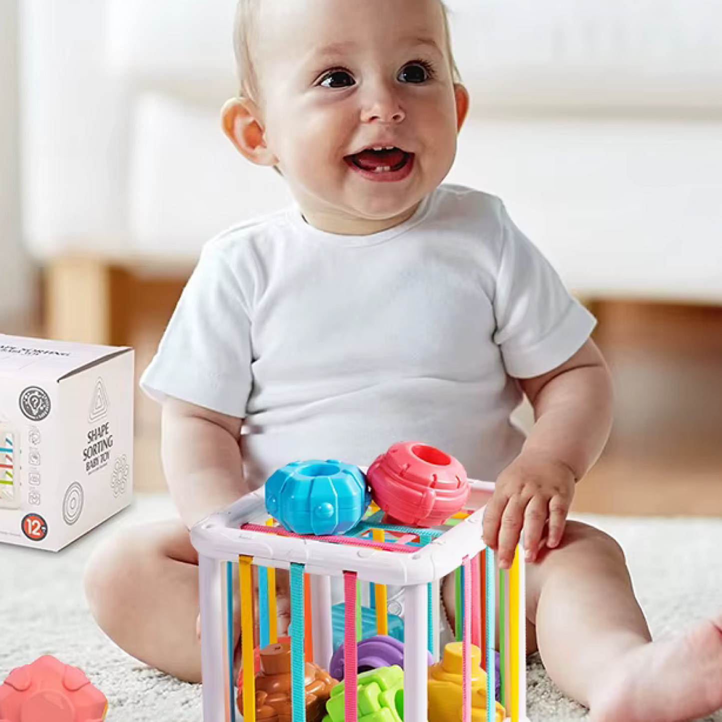 Jeu de tri Montessori (6-24 mois)